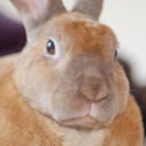 Meet your Posher, Cameron